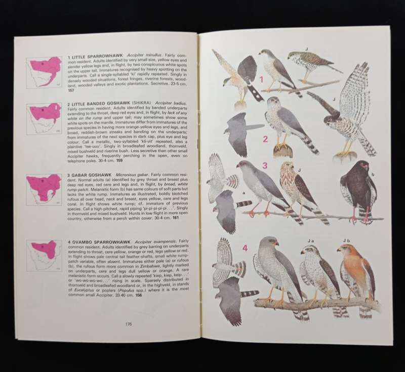 Newman`s Birds of Southern Africa by Kenneth Newman