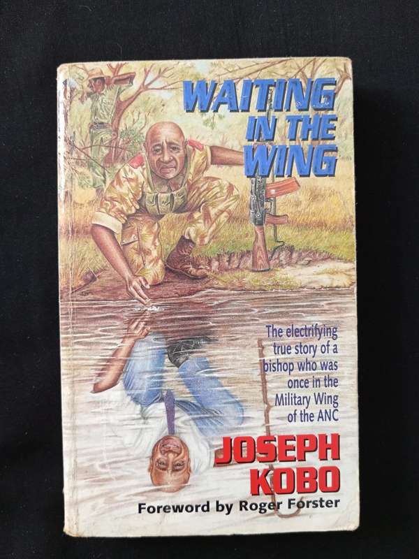 Waiting in the Wind by Joseph Kobo