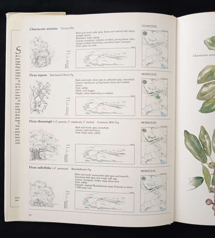 Trees & Shrubs of the Witwatersrand, Magaliesberg & Pilanesberg by Joan van Gogh & John Anderson