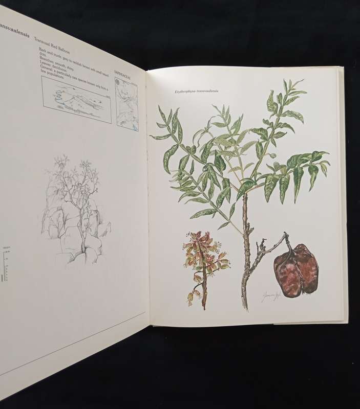 Trees & Shrubs of the Witwatersrand, Magaliesberg & Pilanesberg by Joan van Gogh & John Anderson
