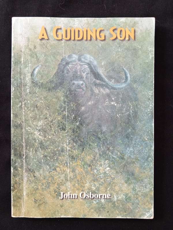 A Guiding Son by John Osborne
