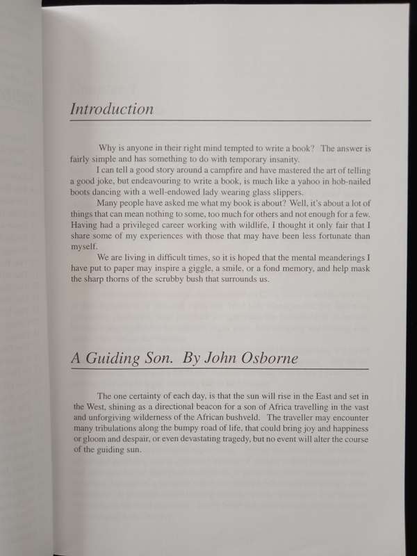 A Guiding Son by John Osborne