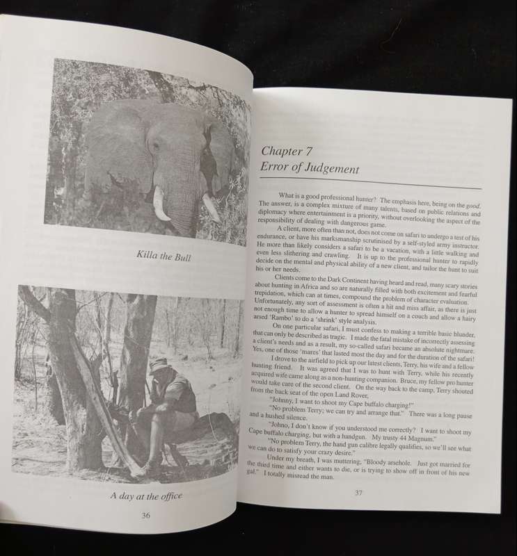 A Guiding Son by John Osborne