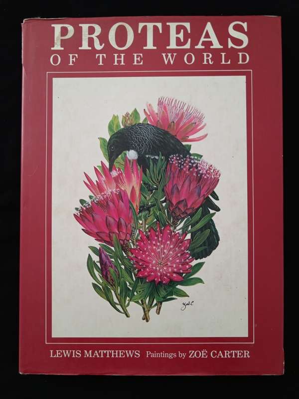 Protease of the World by Lewis Matthews & Paintings by Zoë Carter