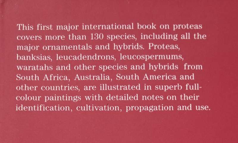 Protease of the World by Lewis Matthews & Paintings by Zoë Carter