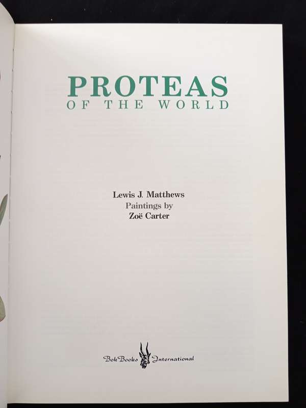 Protease of the World by Lewis Matthews & Paintings by Zoë Carter