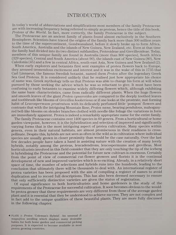 Protease of the World by Lewis Matthews & Paintings by Zoë Carter