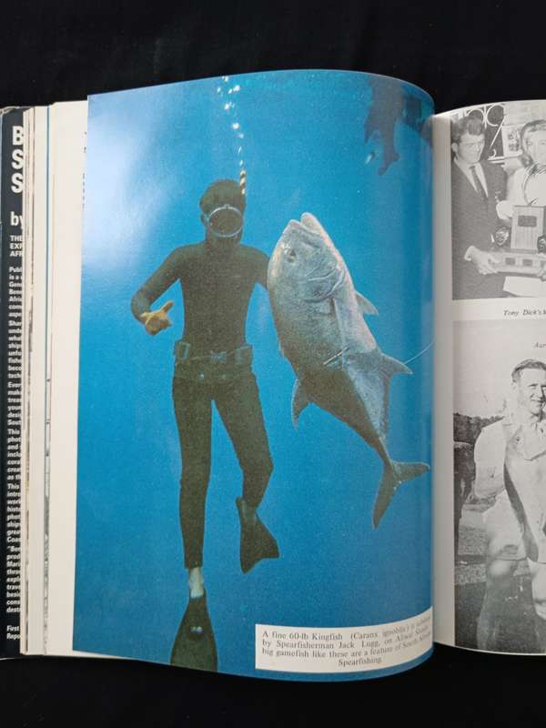 Beneath Southern Seas by Tim Condon