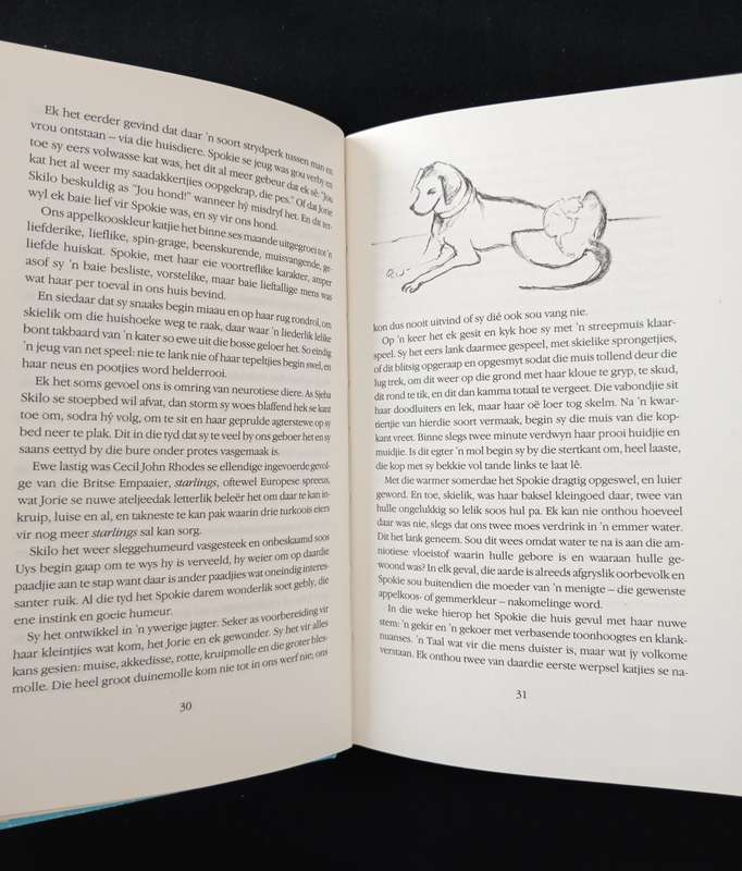 Ń Boek vir Onrus by Jan Rabie