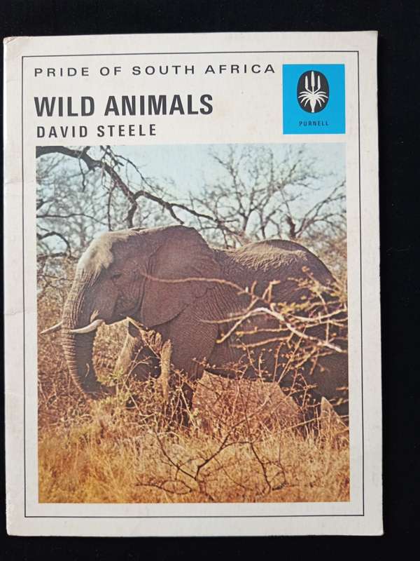 Wild Animals Pride of South Africa 12 by David Steele