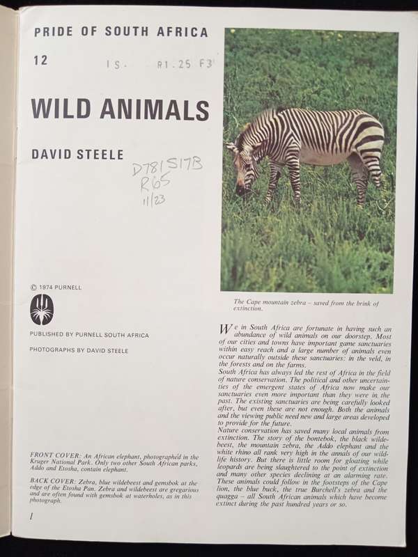 Wild Animals Pride of South Africa 12 by David Steele
