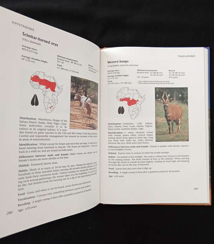 Hunting Africa A practical guide by GP Swan, DJ Notes & PL Smit