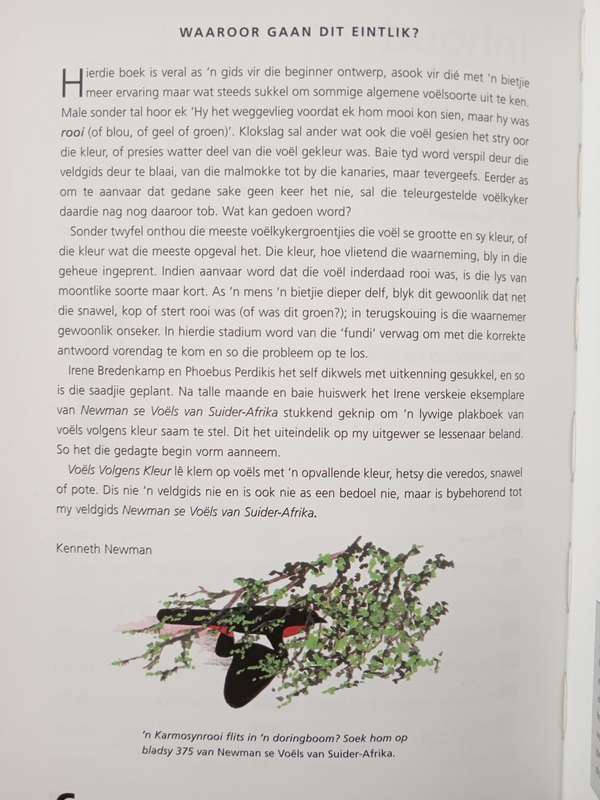 Newman se Voëls Volgens Kleur by Kenneth Newman
