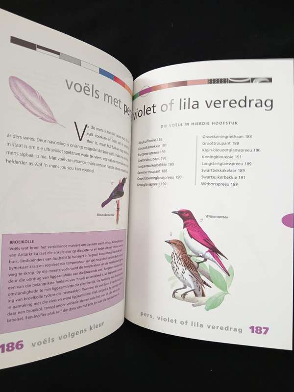 Newman se Voëls Volgens Kleur by Kenneth Newman