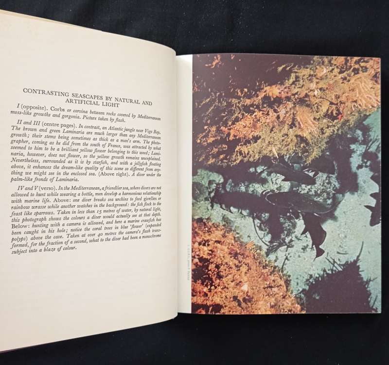 Under The Mediterranean by Honor Frost