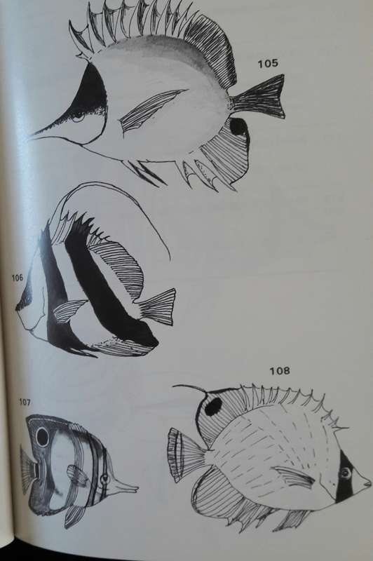 Sea-Fishes of Mauritius - Michael Atchia