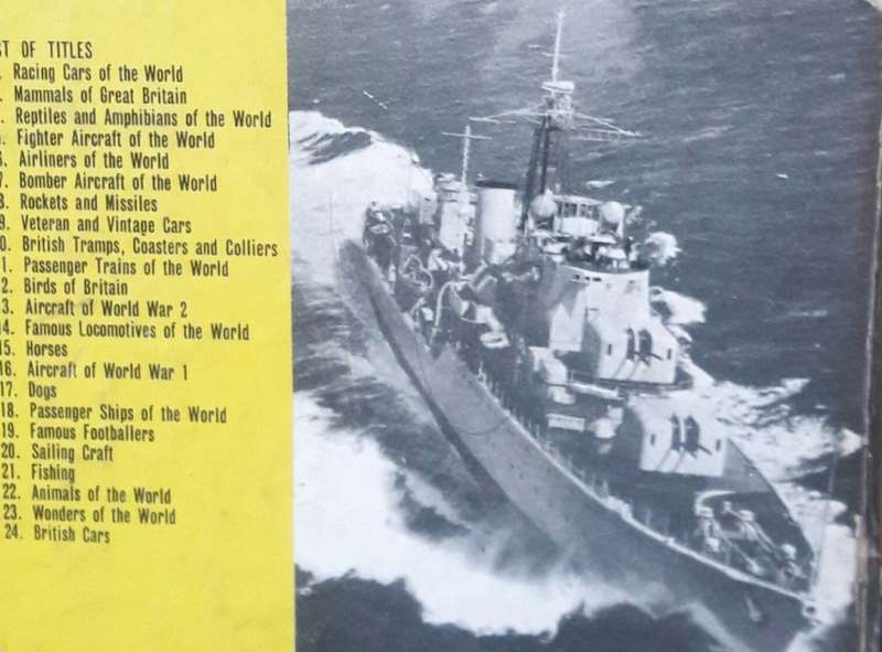 British Warships - Hippo Books