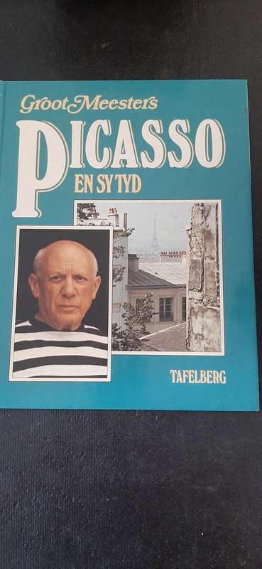 Groot Meesters Picasso en sy Tyd by Terry Measham