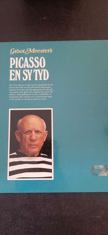 Groot Meesters Picasso en sy Tyd by Terry Measham