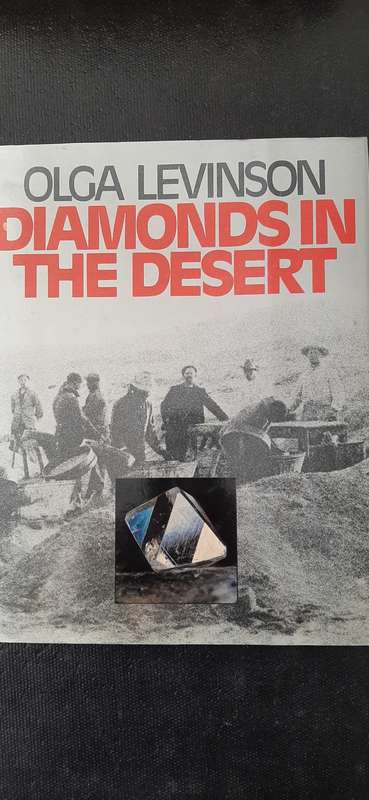 Diamonds in the Desert by Olga Levinson
