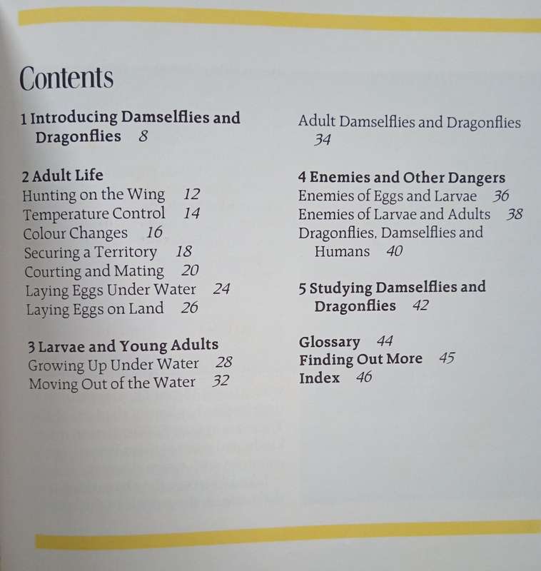 Discovering Damselflies & Dragonflies by Linda Losito