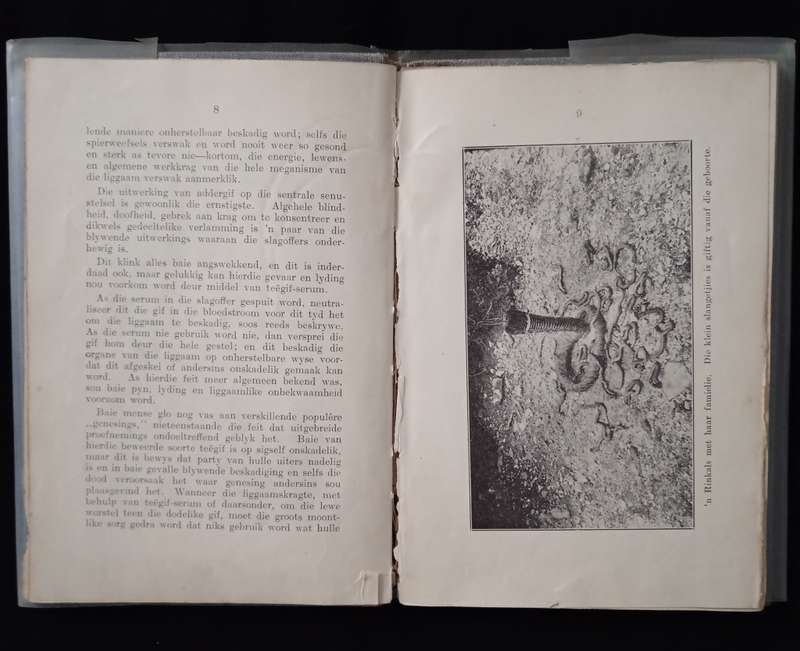 Solange en die behandeling van Slangbyt by FW Fitzsimons