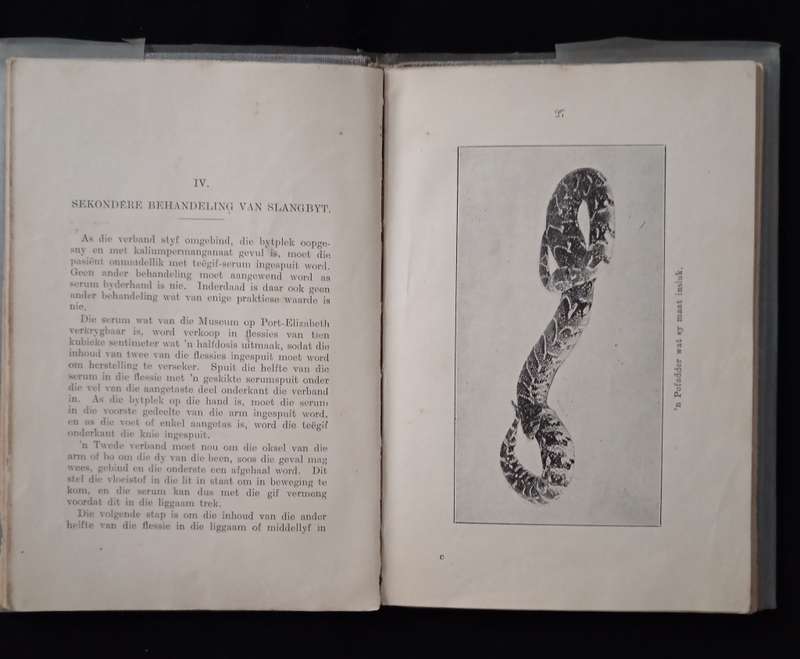 Solange en die behandeling van Slangbyt by FW Fitzsimons