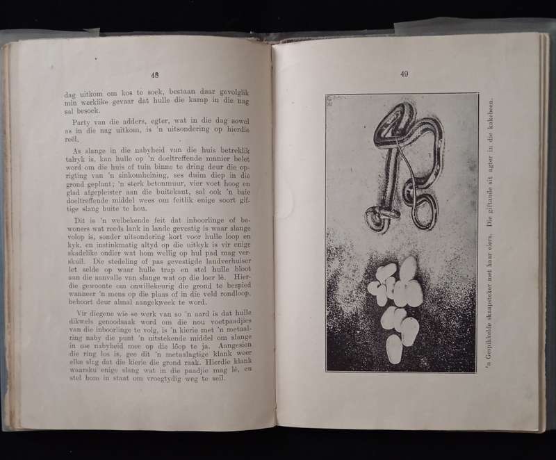Solange en die behandeling van Slangbyt by FW Fitzsimons