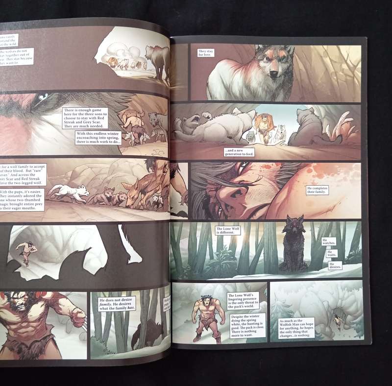 Origin II by Kieron Gillen, Adam Kubert & Frank Martin