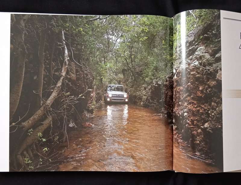 Masters of Africa The Toyota Collection Foreword by Dr Johan van Zyl
