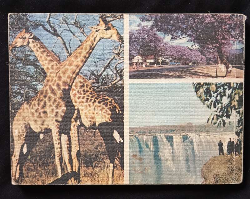 This is Rhodesia by Phillipa Berlyn
