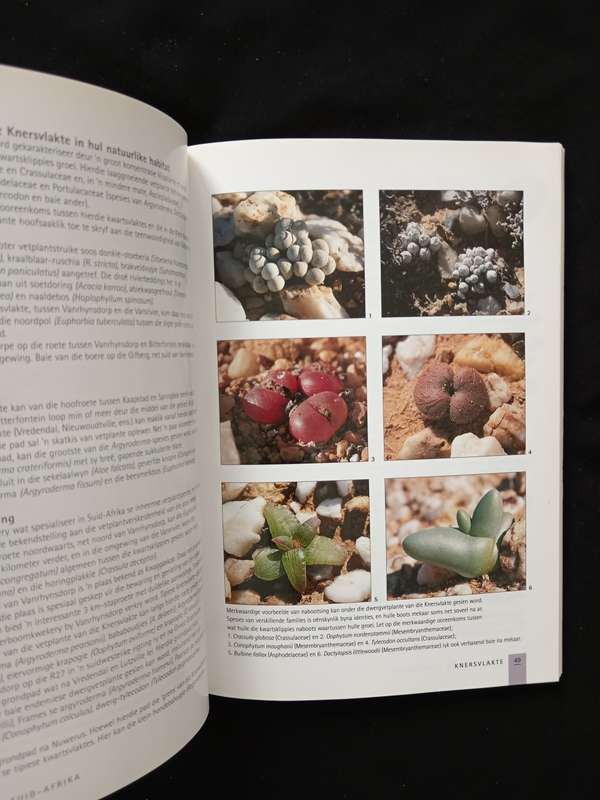 Sasol Vetplante van Suid-Afrika by Ernst van Jaarsveld, Ben-Erik van Wyk & Gideon Smith