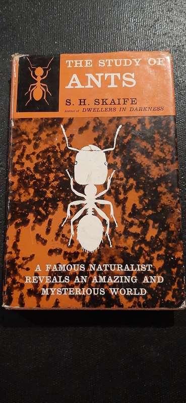 The study of Ants by S.H. Skaife