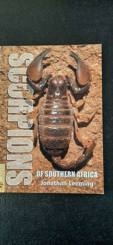 Scorpions of Southern Africa by Jonathan Leeming