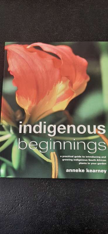 Indigenous beginnings by Anneke Kearney