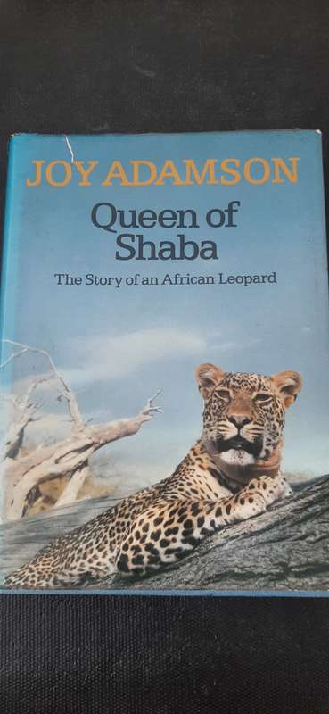 Queen of Shaba by Joy Adamson - First Edition