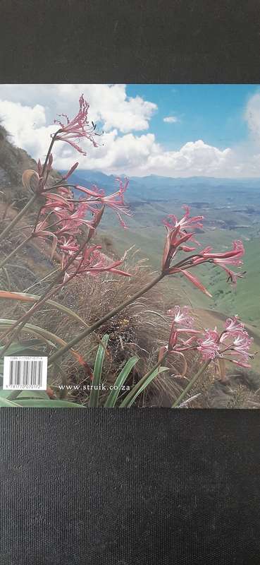 Southern African Wild Flowers - Jewels of the World by John Manning
