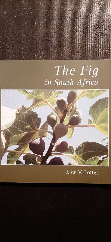 The Fig in South Africa by J. de V. Lotter