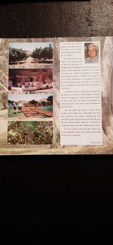The Fig in South Africa by J. de V. Lotter