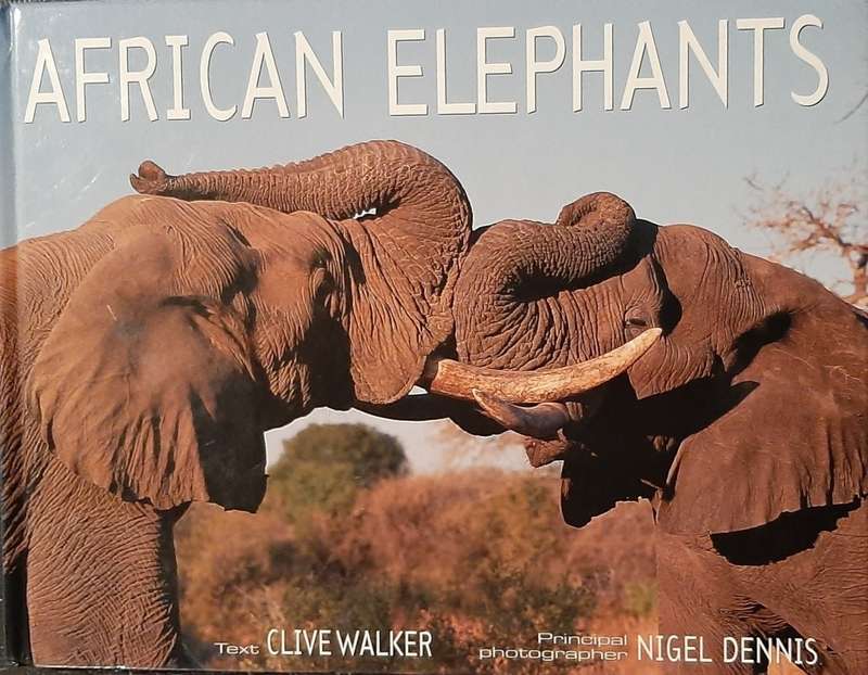 African Elephants - Text Clive Walker, Principal Photographer Nigel Dennis