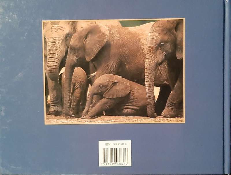 African Elephants - Text Clive Walker, Principal Photographer Nigel Dennis