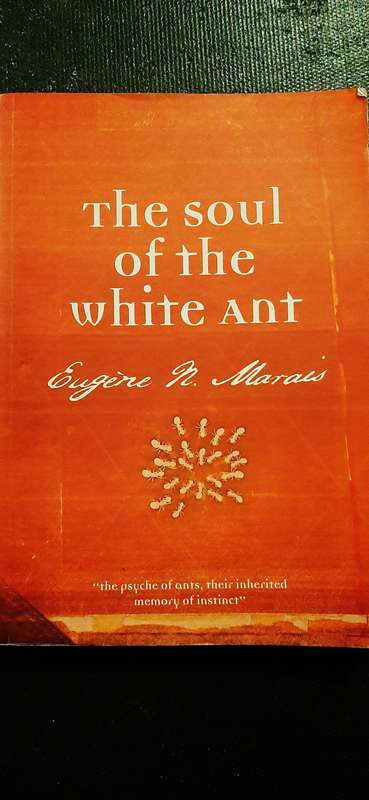 The soul of the white ant by Eugene N. Marais