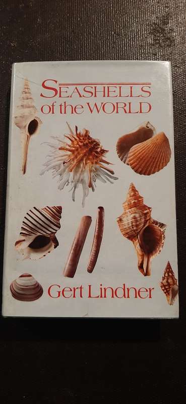 Seashells of the World by Gert Lindner
