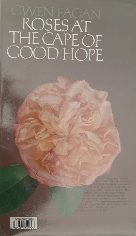Roses at the Cape of Good Hope by Gwen Fagan