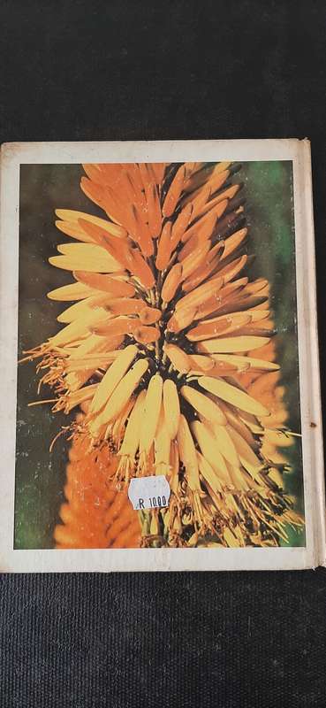 Aloes - Pride of South Africa by Barbara Jeppe