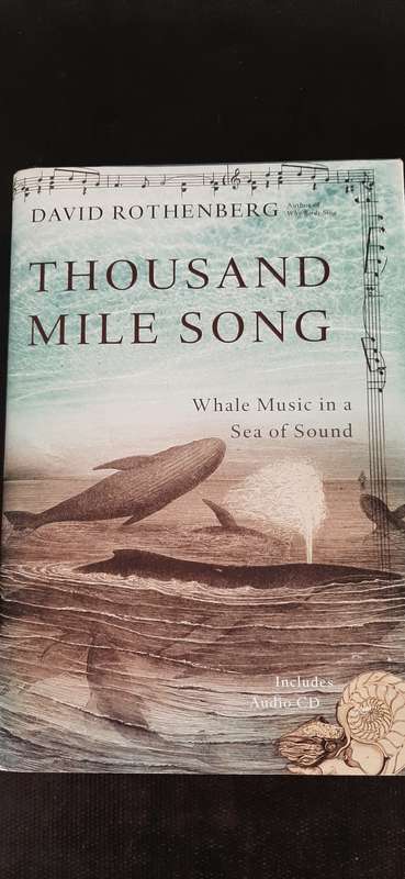 Thousand Mile Song by David Rothenberg