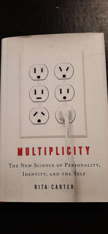 Multiplicity by Rita Carter