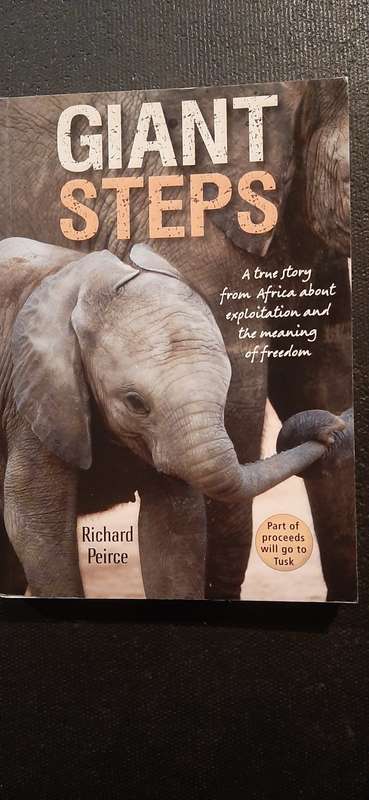 Giant Steps by Richard Peirce