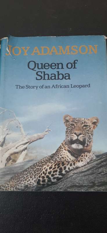 Queen of Shaba by Joy Adamson
