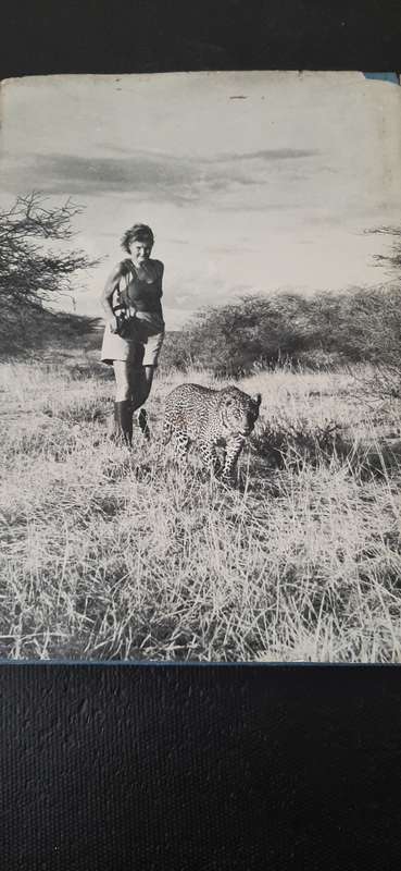 Queen of Shaba by Joy Adamson